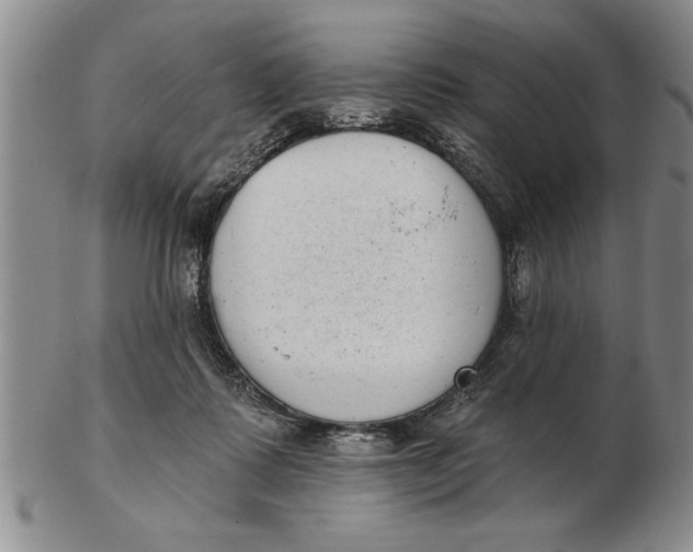 X0000102350315200808221659