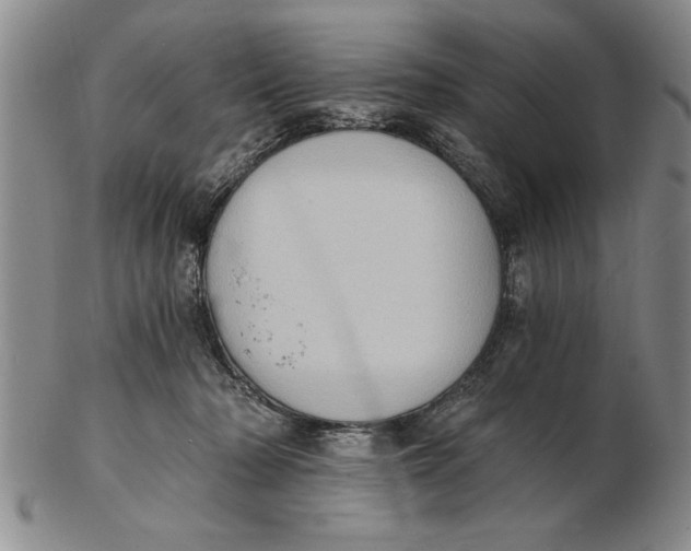 X0000102350318200808221659