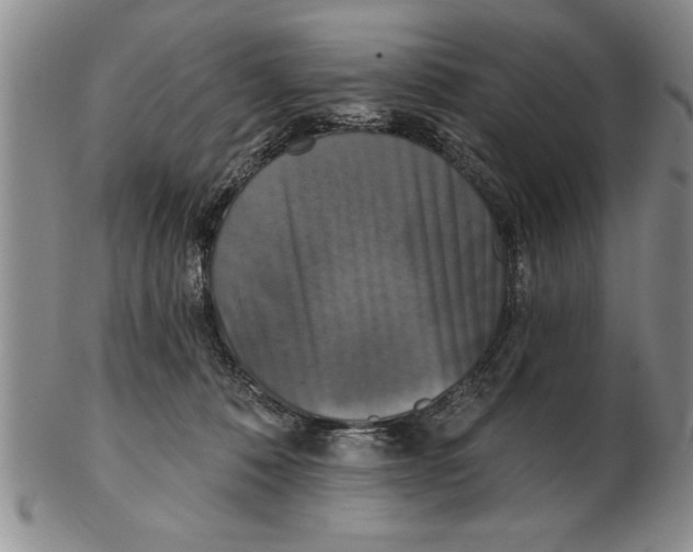 X0000102350320200808221659
