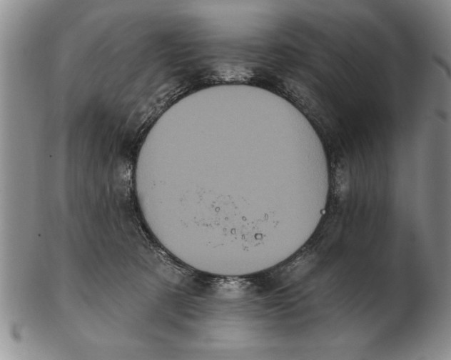 X0000102350321200808221659