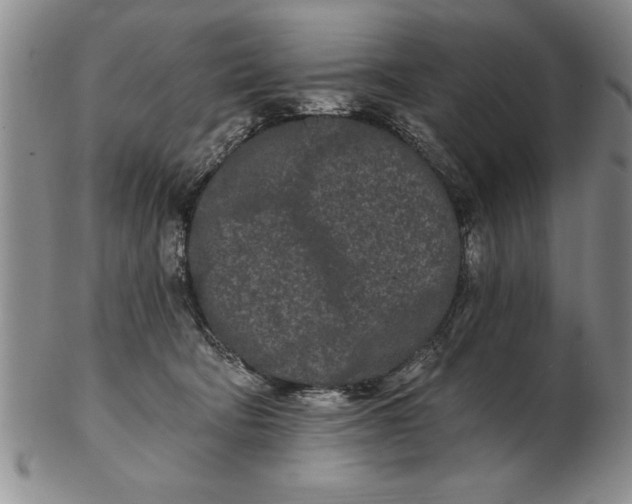 X0000102350322200808221659