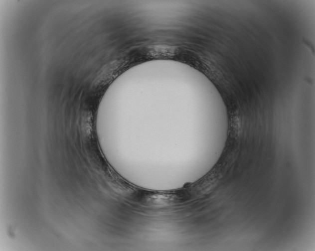 X0000102350323200808221659