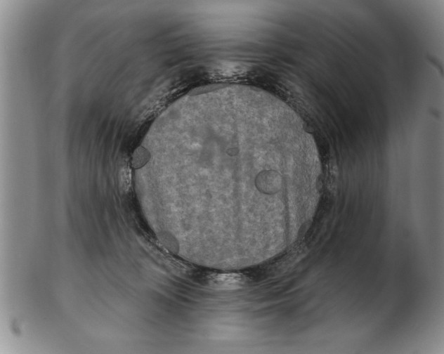 X0000102350324200808221659