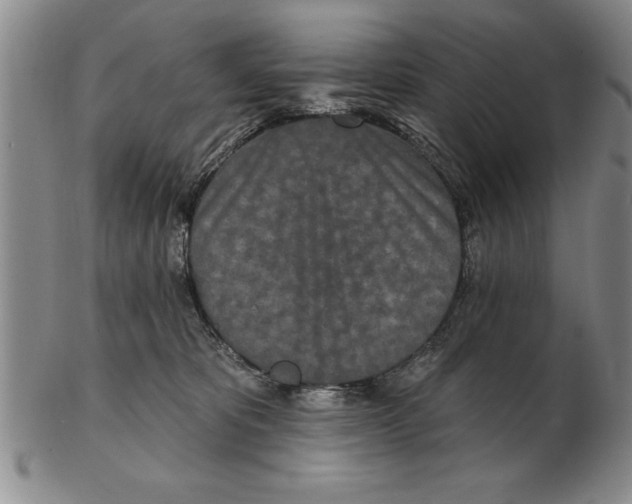 X0000102350325200808221659