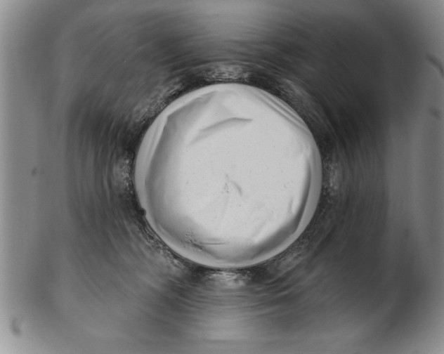X0000102350326200808221659