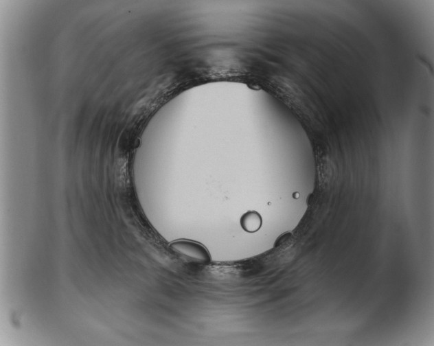 X0000102350327200808221659