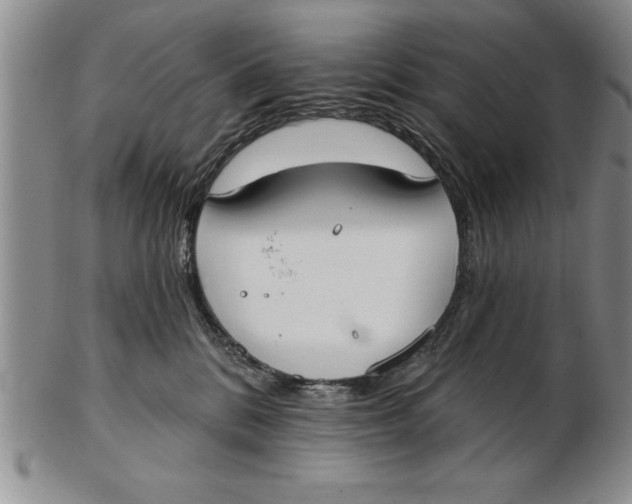X0000102350328200808221659
