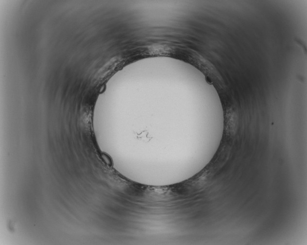 X0000102350329200808221659
