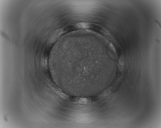 X0000102350330200808221659