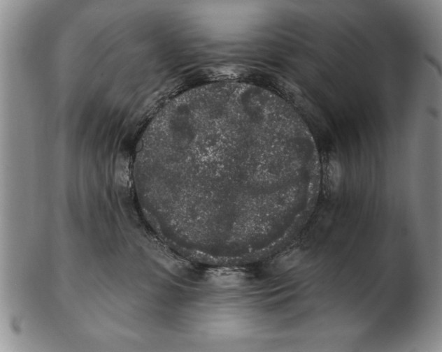 X0000102350331200808221659