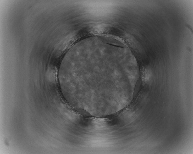 X0000102350332200808221659