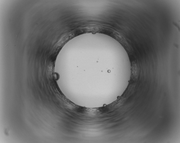 X0000102350333200808221659