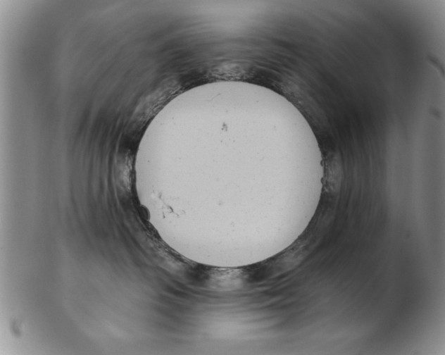 X0000102350334200808221659