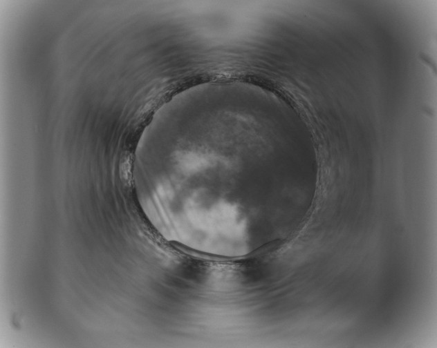 X0000102350336200808221659