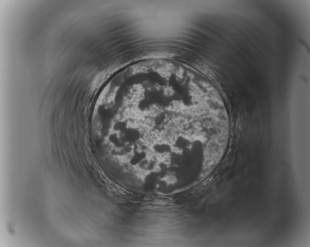 X0000102350337200808221658