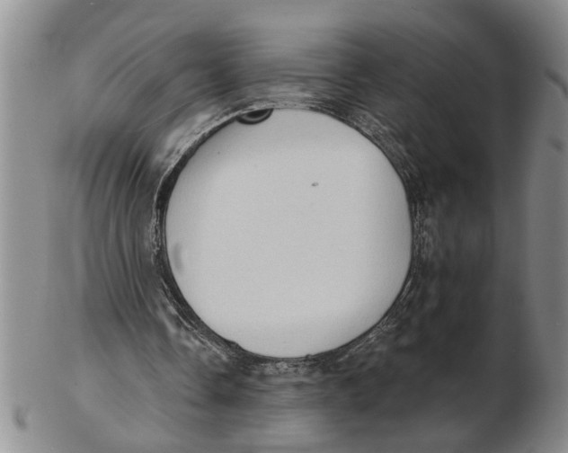 X0000102350338200808221658