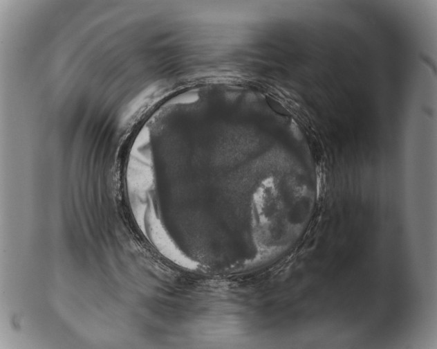 X0000102350339200808221658