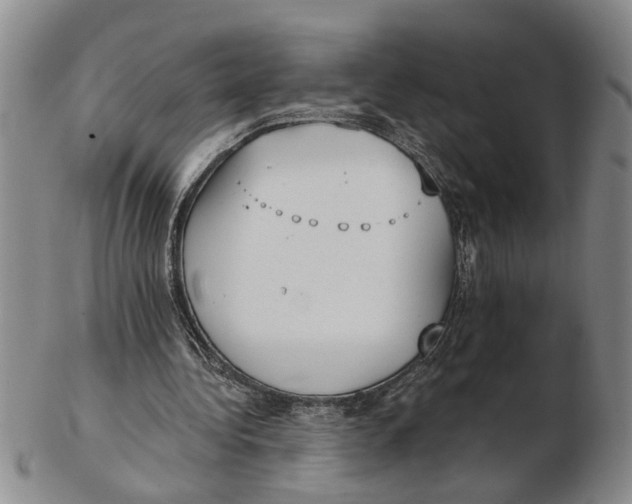 X0000102350340200808221658