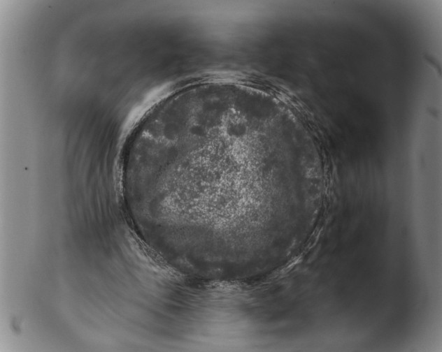 X0000102350343200808221658