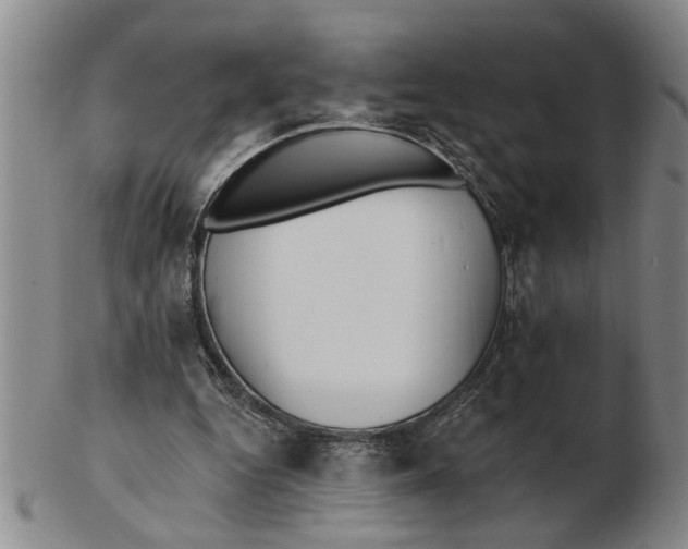 X0000102350344200808221658