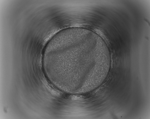 X0000102350346200808221658