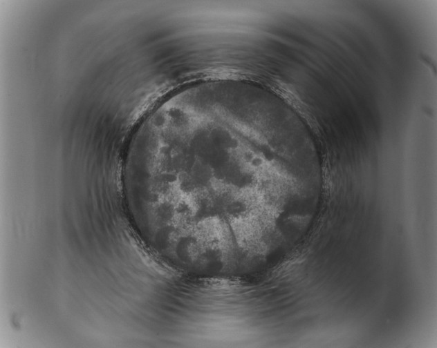 X0000102350347200808221658