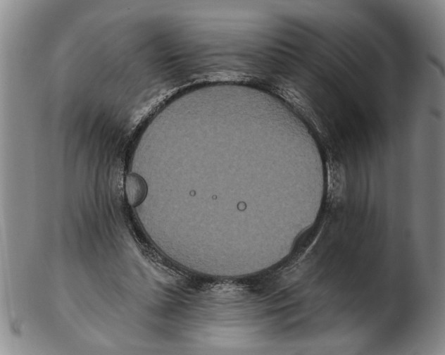 X0000102350348200808221658