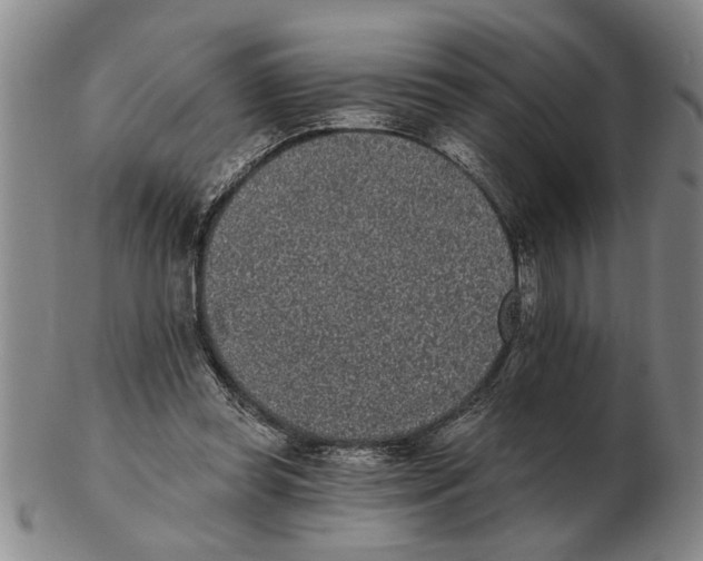 X0000102350349200808221658