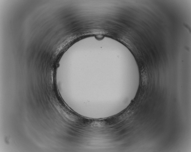 X0000102350350200808221658