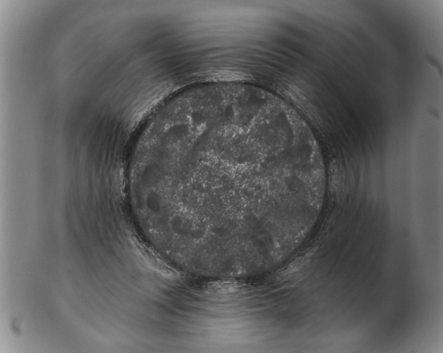 X0000102350351200808221658