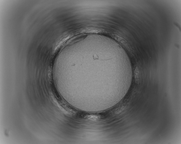 X0000102350352200808221659