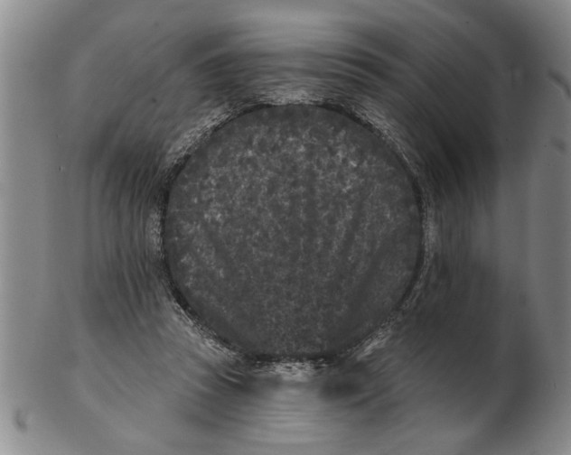X0000102350353200808221659
