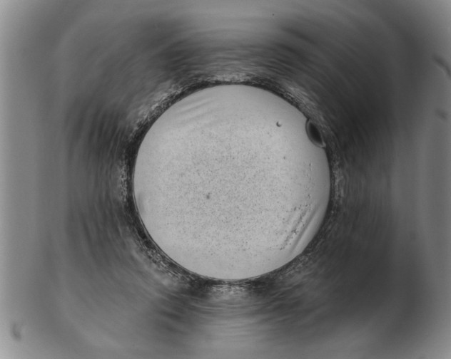 X0000102350354200808221659