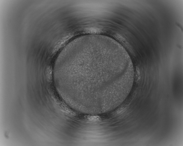 X0000102350355200808221659