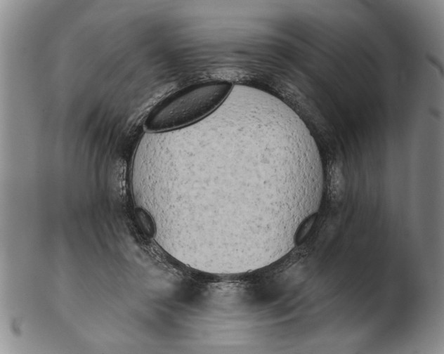X0000102350356200808221659