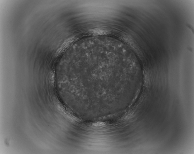 X0000102350357200808221659