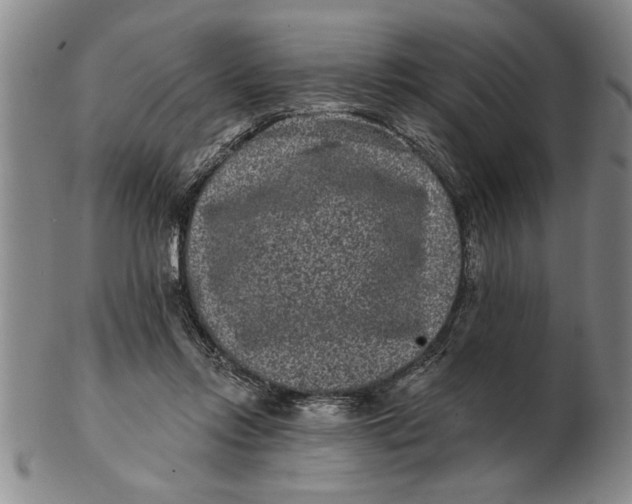 X0000102350358200808221659