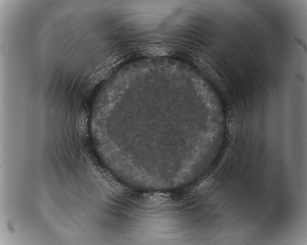 X0000102350359200808221659