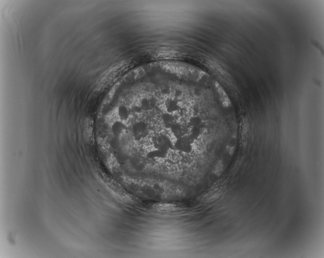 X0000102350361200808221659