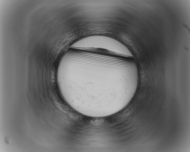 X0000102350362200808221659