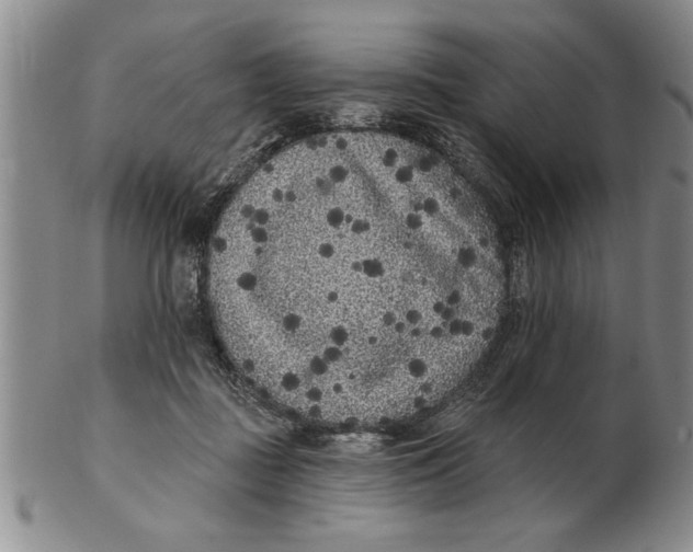 X0000102350363200808221659