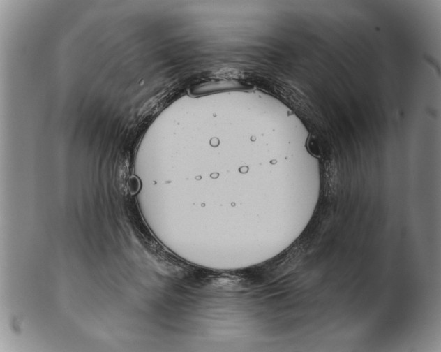 X0000102350364200808221659