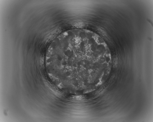 X0000102350365200808221659