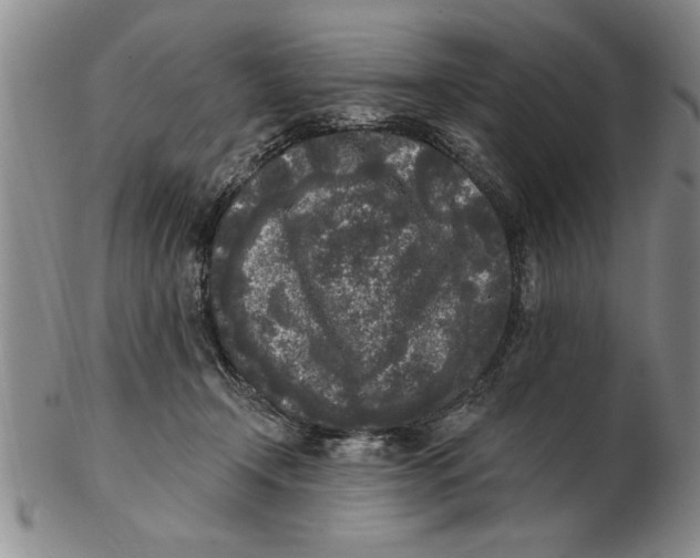 X0000102350366200808221659