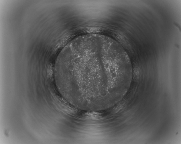 X0000102350367200808221659