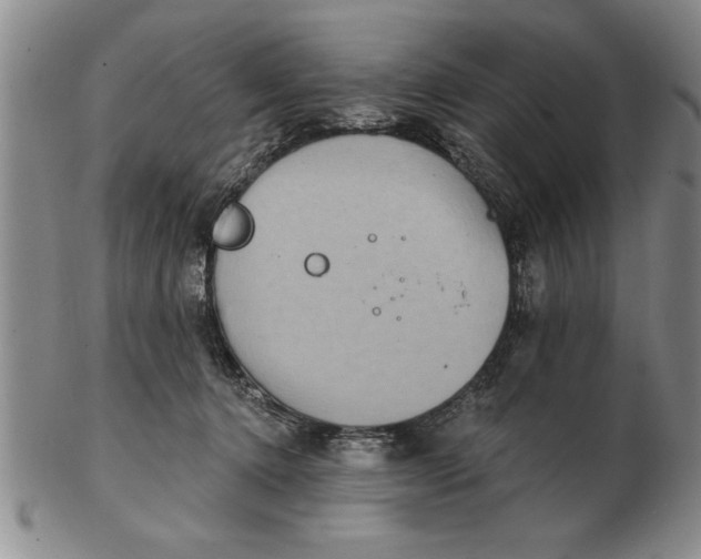 X0000102350368200808221659