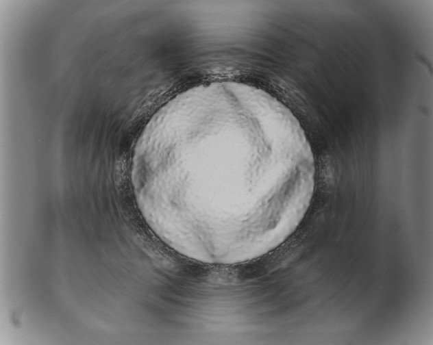 X0000102350369200808221659