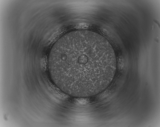 X0000102350370200808221659