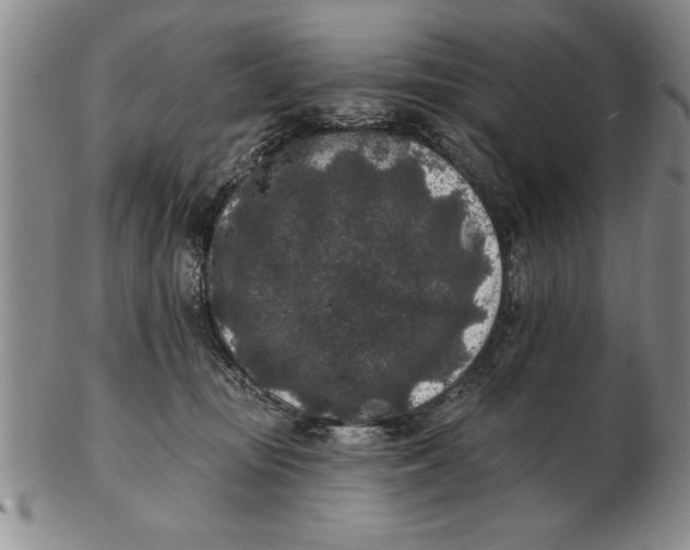 X0000102350371200808221659