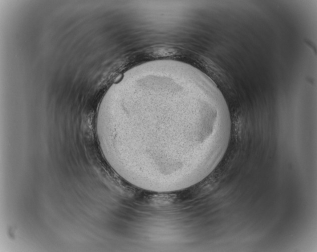 X0000102350373200808221659